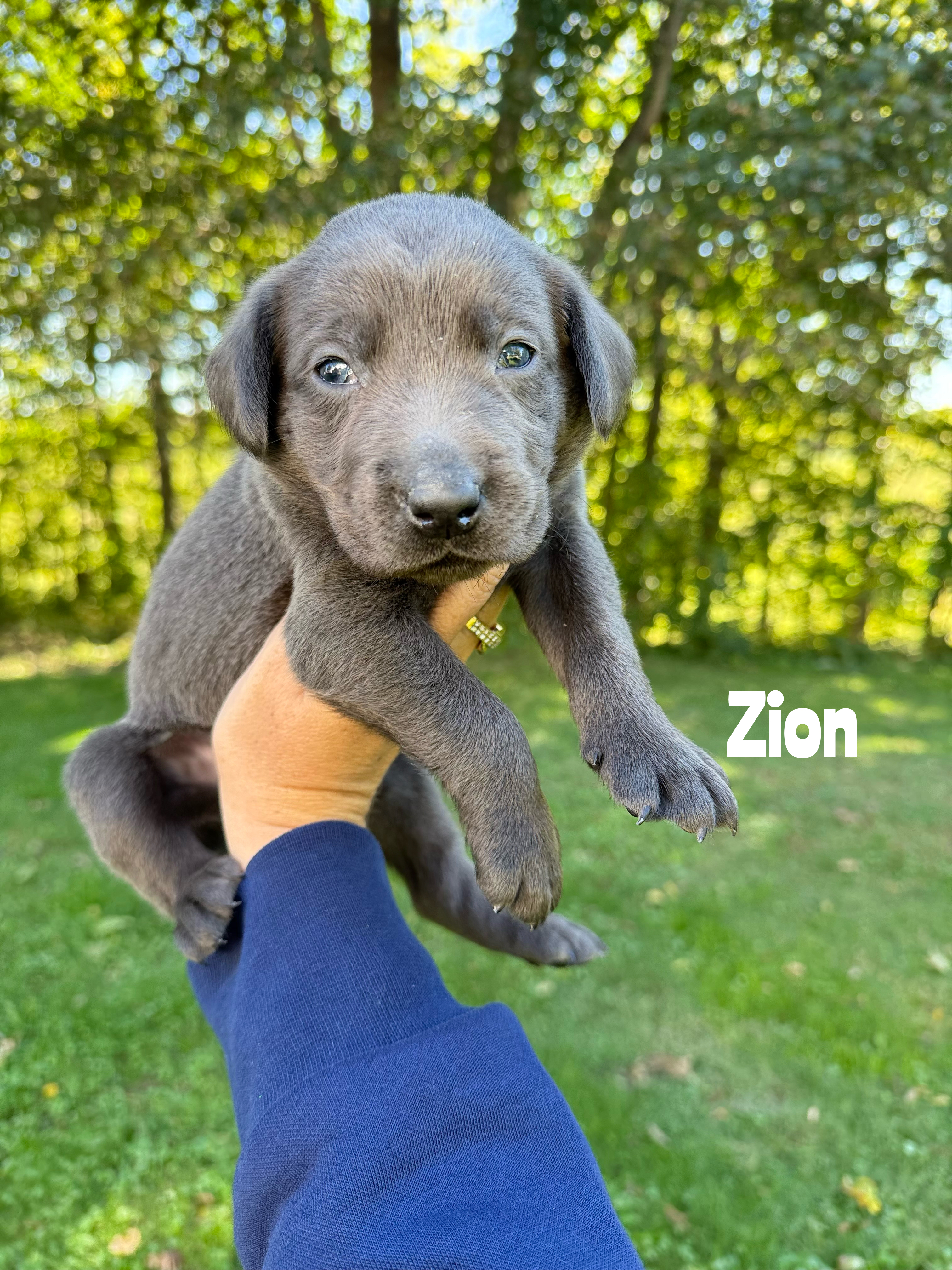 Zion 1